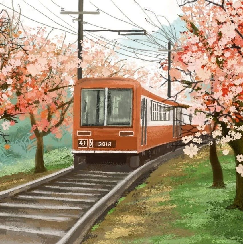 妇女两癌筛查属于什么防治知识,50岁以上女性有必要两癌筛查吗