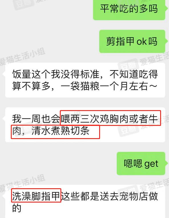 *子骗**又出新套路，可爱小猫沦为「骗钱工具人」