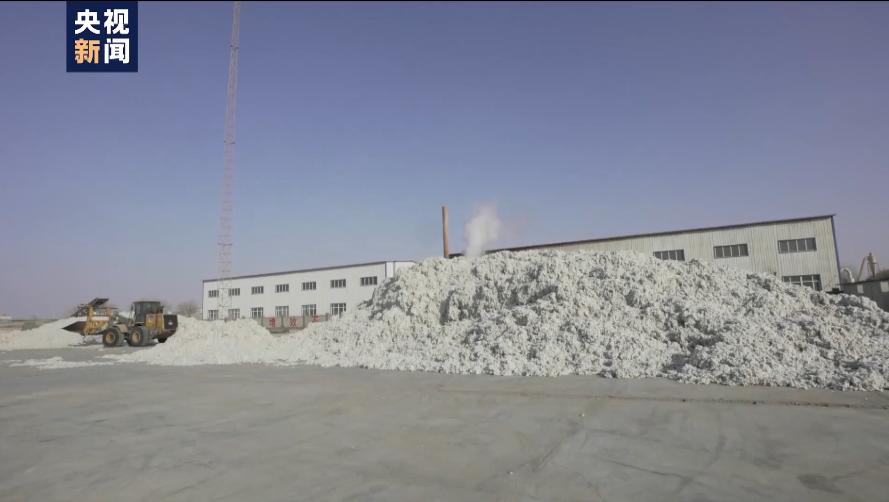 白棉花有假的吗,黑心棉被调查视频