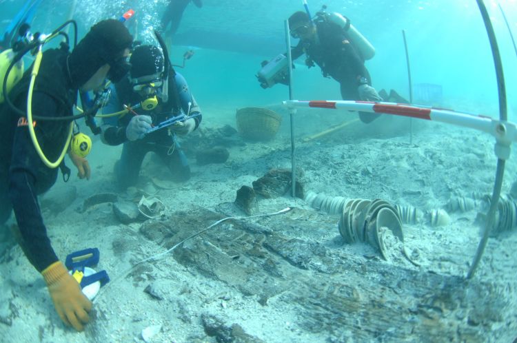 海南砗磲打捞,海南渔船沉没搜救视频