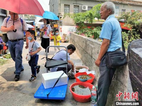 江门正宗黄沙蚬,广东黄沙蚬最肥美的季节