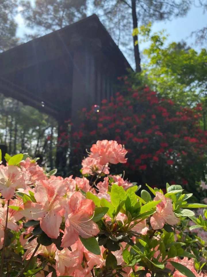 杭州绿道路线图,杭州青山湖绿道