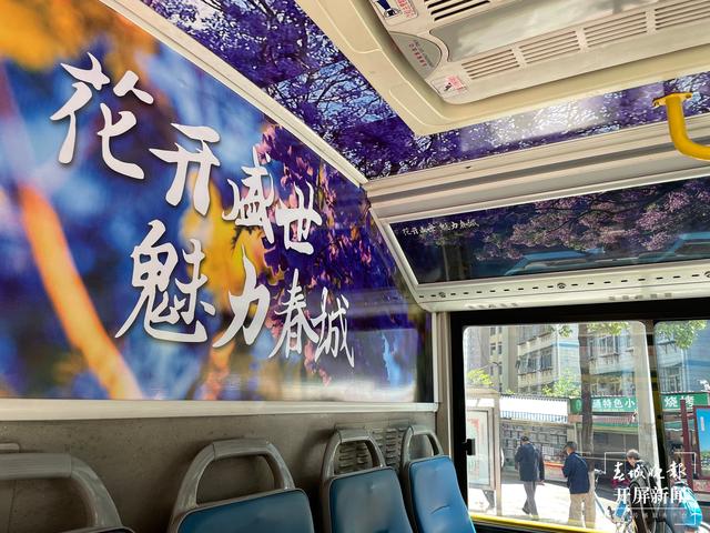 昆明蓝花楹主题公园路线,昆明赏蓝花楹巴士