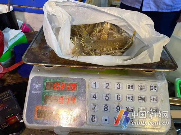 今起“热气货”海水产不能卖了宁波市场监管开展伏休执法检查