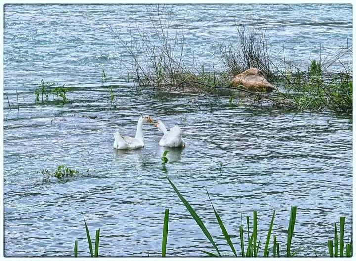 专业摄影师驾到,摄影师驾到统统闪开