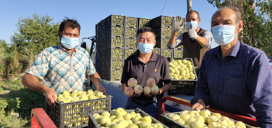 *疆新**和静：“村村有优品”全力助推乡村产业振兴