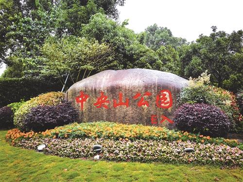 路桥中央山公园一日游日记,路桥中央山公园荷花开了吗