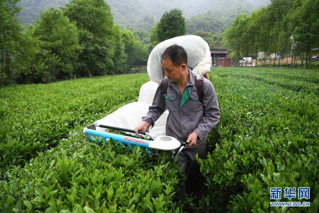 奋斗百年路启航新征程纪录片,奋斗百年路启航新征程新疆篇