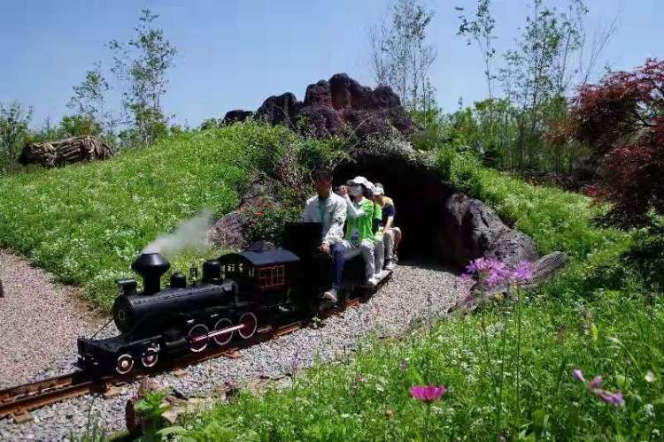 吉林有三宝，人参鹿茸乌拉草！来花博会坐“小火车”欣赏吉林自然风光|花博探馆①