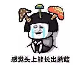 车发霉进icu,车子室内发霉