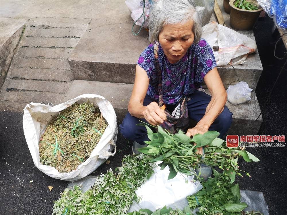 端午节泡药浴,端午前泡药浴的好处图片