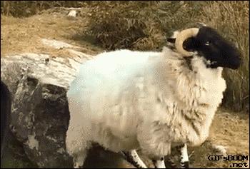 岭南妇科养生坊｜当她遭遇尴尬瘙痒，该怎么办……