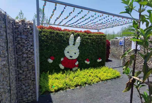 五一游花博会攻略,花展怎么玩