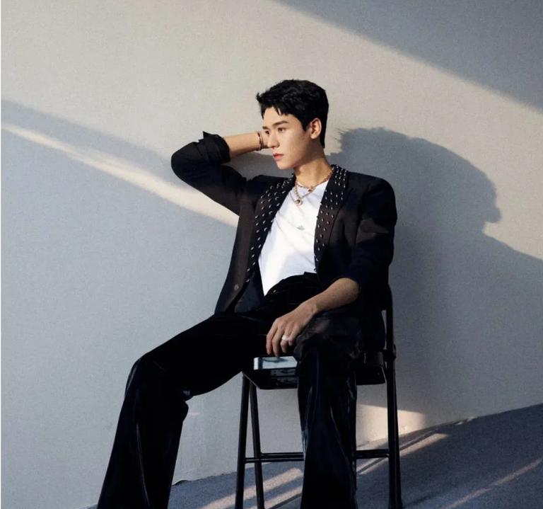 整容失败的男星们,娱乐圈整容艺人