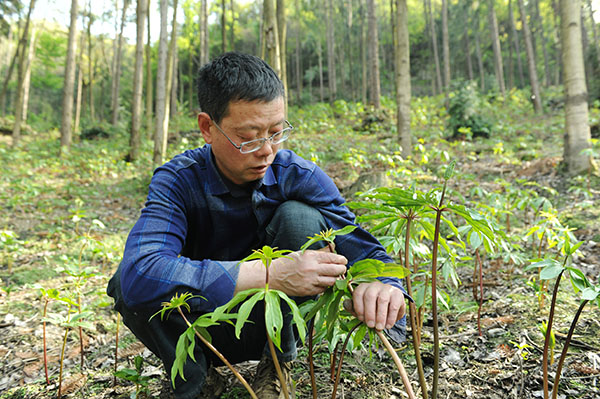 十堰乡村振兴哪些乡,湖北十堰乡村振兴怎么讲