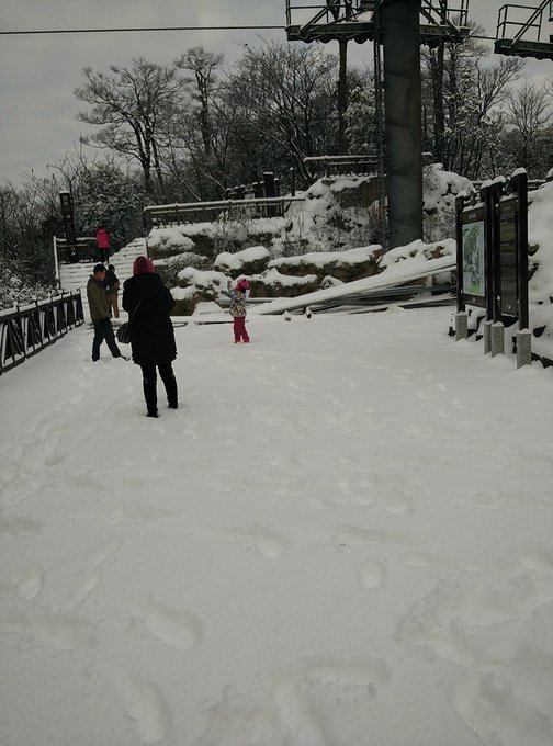 张家界旅游各种攻略大全,张家界最新实用旅行攻略图片高清