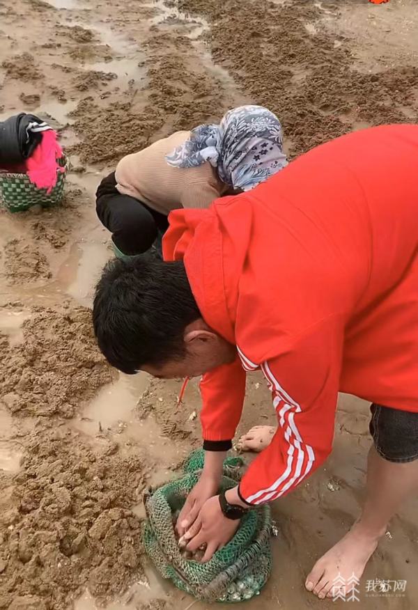 娴疯竟娴烽矞鐩存挱鎻,娴蜂笂鐩存挱姘翠骇娴烽矞