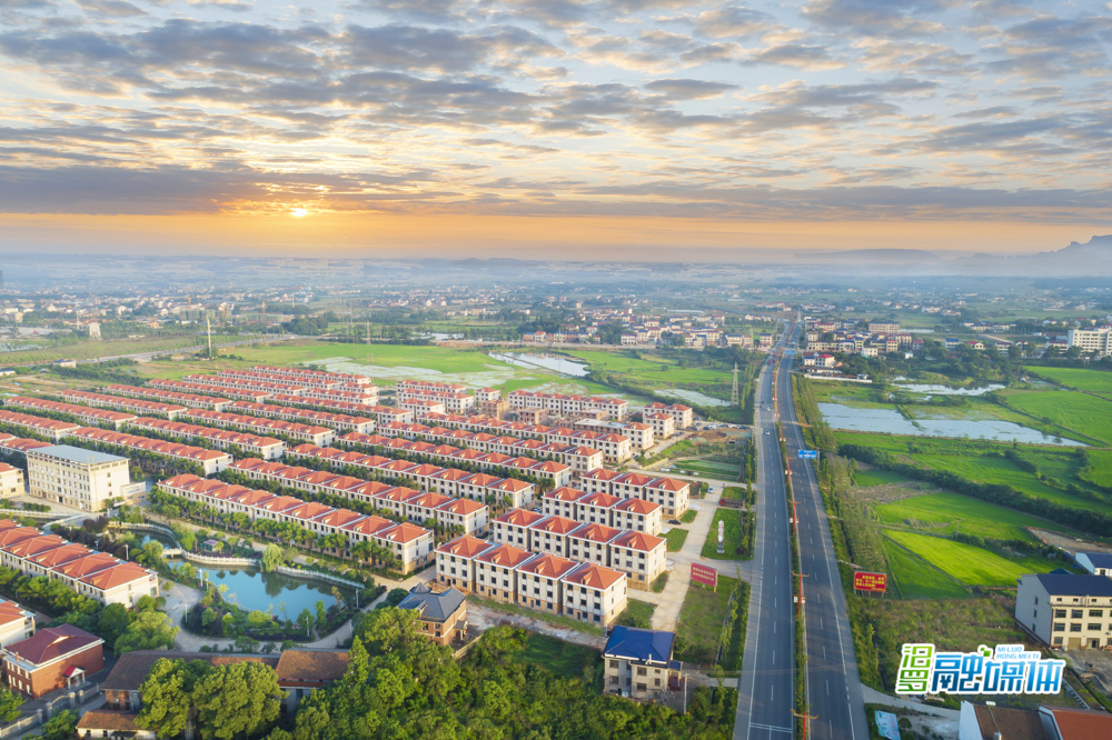 无边光景日日新打一生肖,无边光景日日新