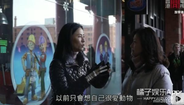 tvb花旦陈慧珊否认转行当英文老师,陈慧珊tvb老师