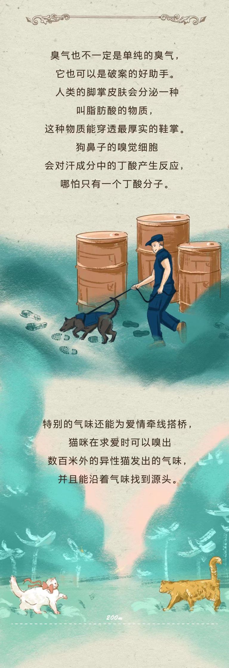 选对象，气味比颜值靠谱多了