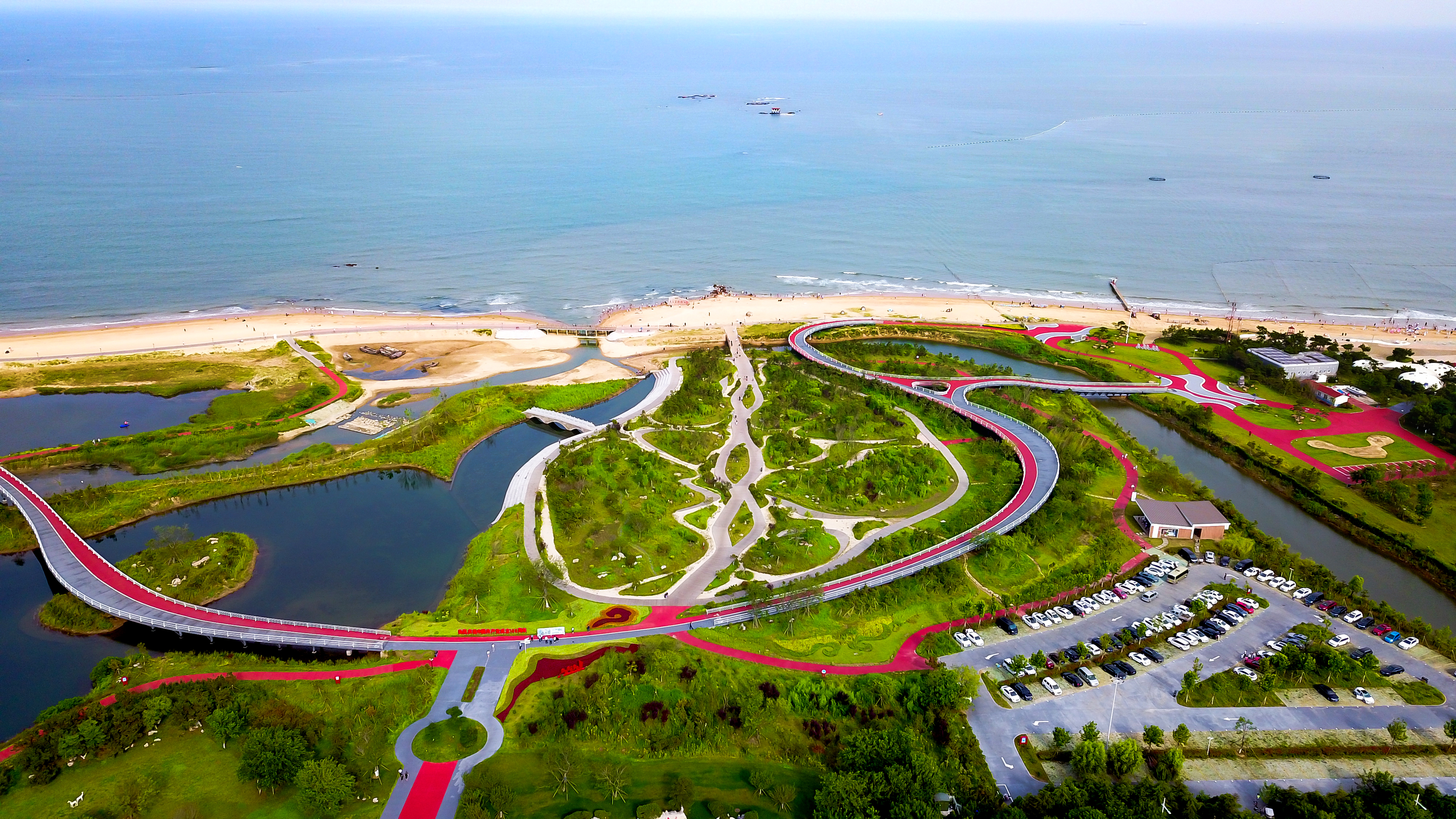 日照蓝丝带,山东日照带子