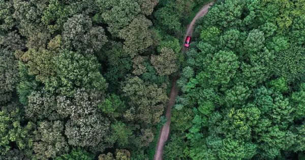 鸡公山避暑的地方,鸡公山避暑攻略一日游
