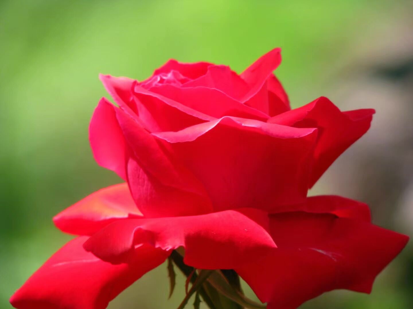 国学成语故事过河拆桥,南橘北枳出自晏子使楚