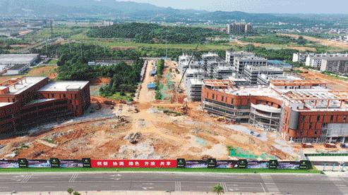 动图运动会,动图赛龙舟