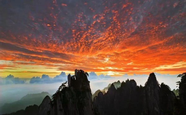 黄山一日游网红小火车最佳攻略,黄山附近坐高铁的旅游景点推荐
