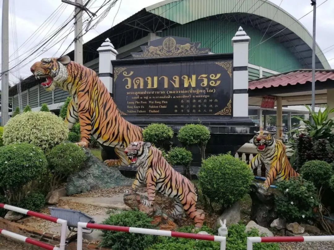 跑腿费200元、排队2小时，我在泰国龙莲寺帮人“化太岁”