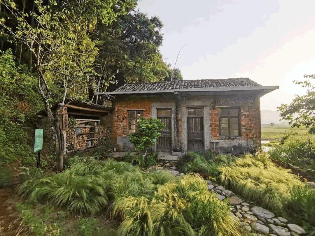 公共艺术的核心观念,哪些算是公共艺术