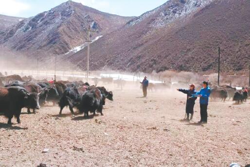 今日视点2020,今日视点四川演播厅
