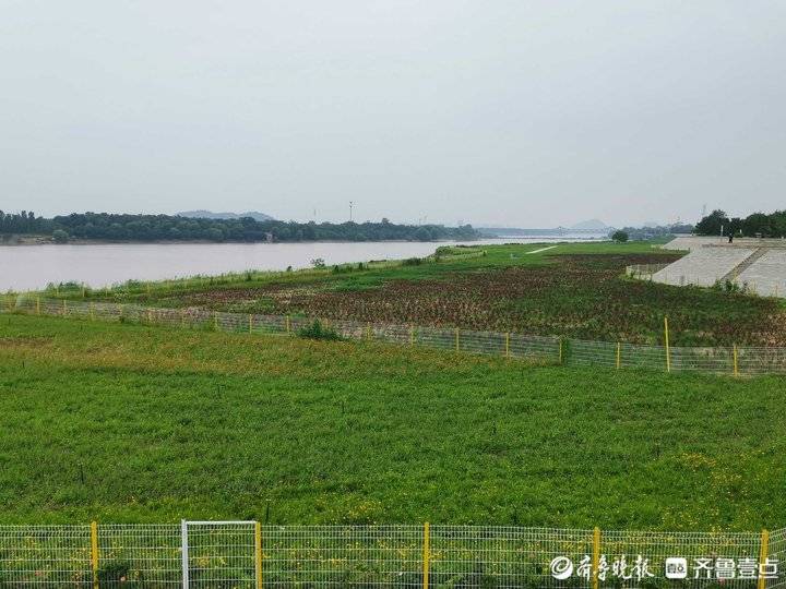 济南黄河网红打卡地攻略最新,济南网红打卡地景点经三路