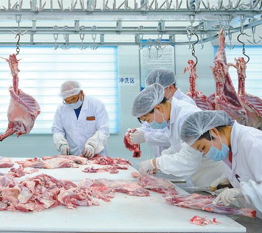 三江集团建设有限公司,三江集团简介