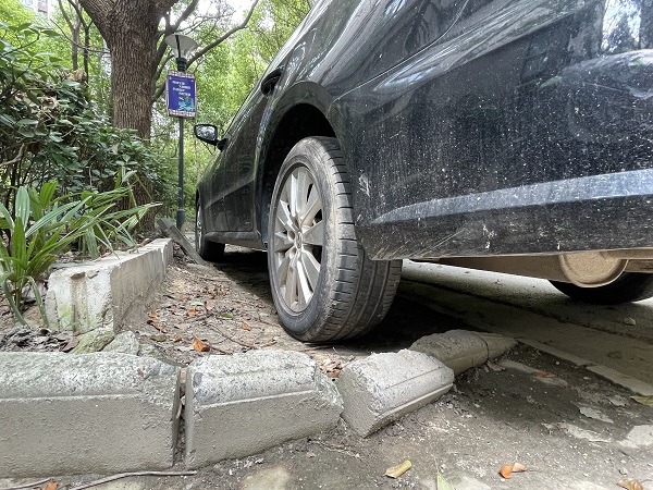 嘉定小区房屋质量问题,嘉定哪些小区垃圾分类不达标