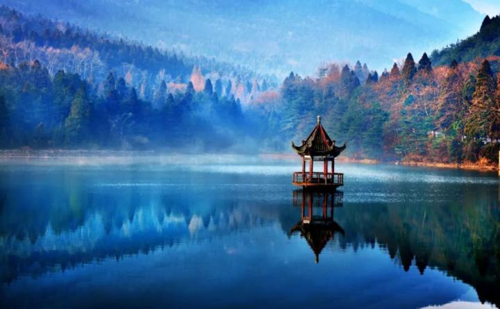 卢明直播,卢明视频