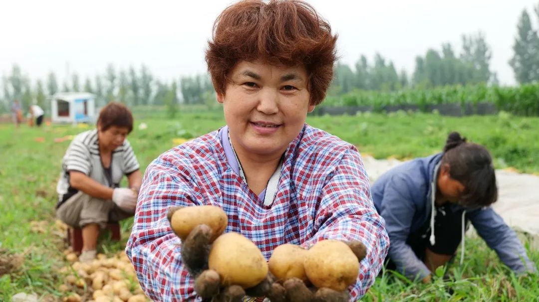 这是你和我都爱的城市，沁阳