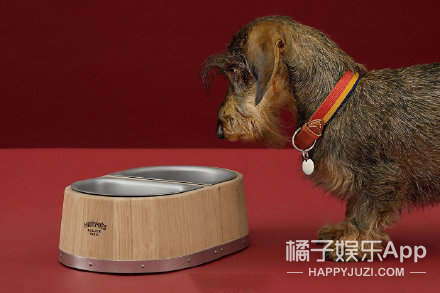 王源设计过的东西,王源设计的东西