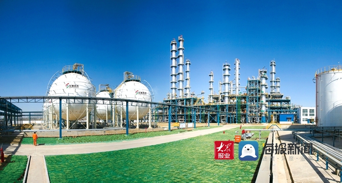 东明石化和山东石化哪个好,东明石化排名