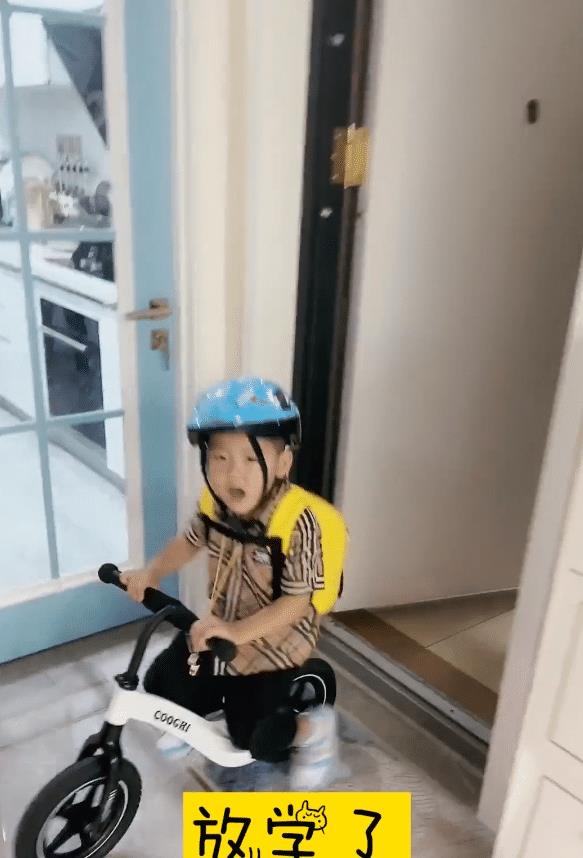 嘎子哥的全身照,嘎子哥豪宅内景