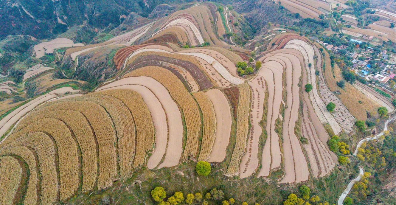 在长城上望向远方的照片,在远方看长城