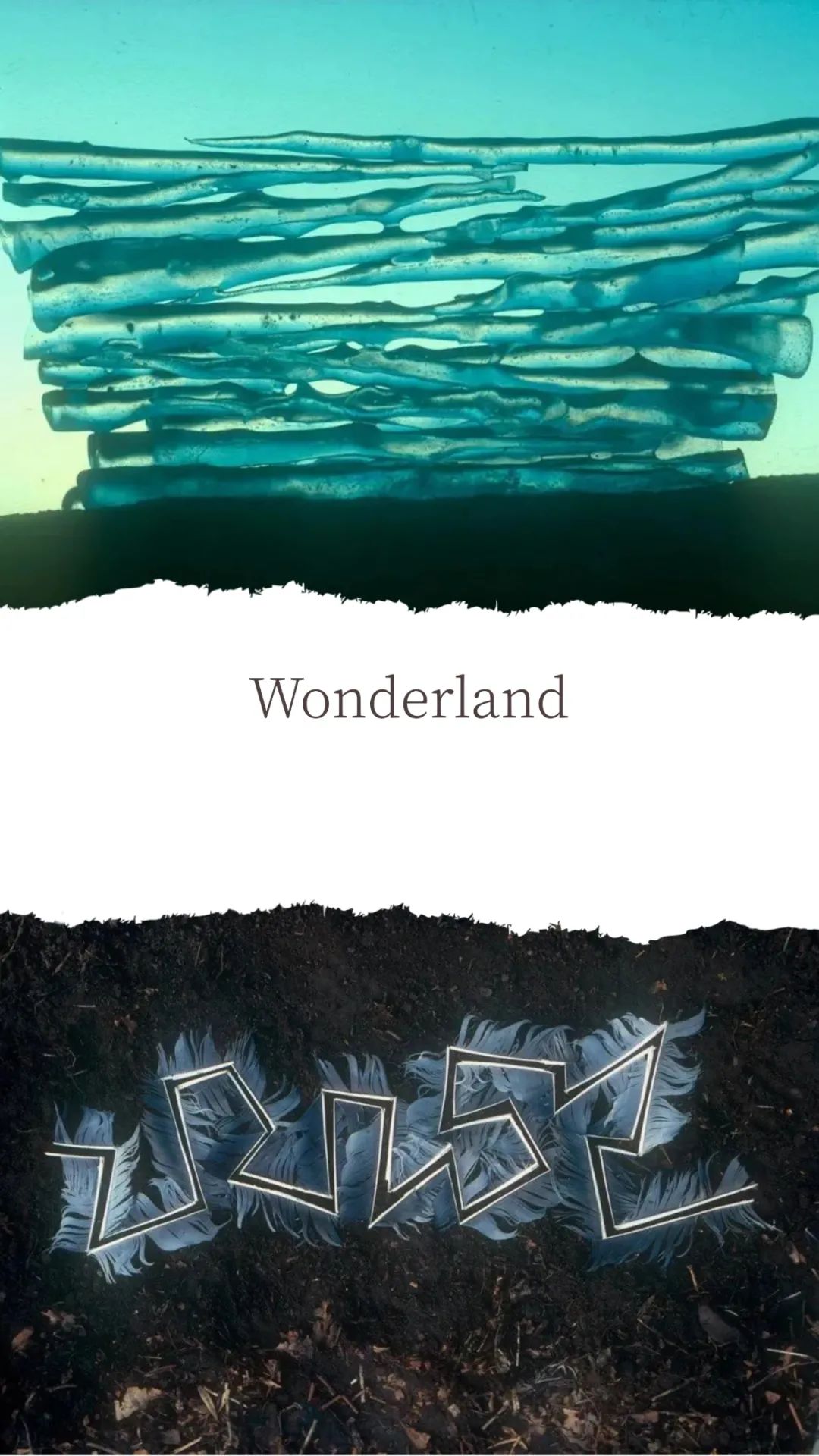 花1个亿把凯旋门包起来,到底作什么“妖”?