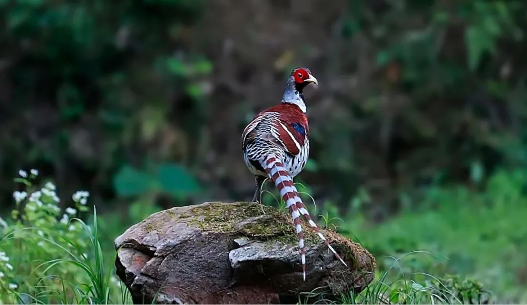 武宁暑假旅游攻略大全,武宁县逍遥岛旅游度假
