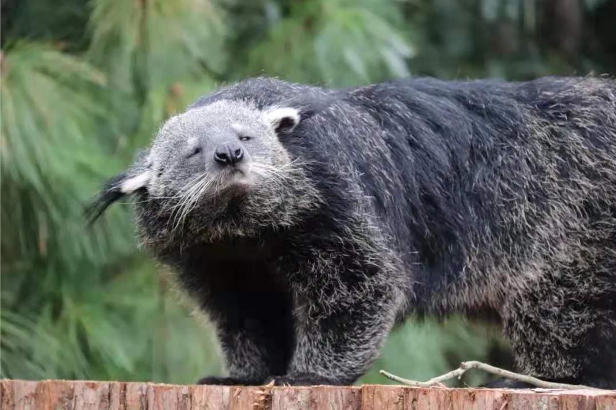 昆明国庆免费开放公园,国庆昆明这七大公园好看又好玩
