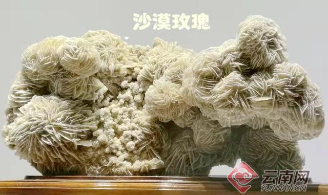 云南大理奇妙博物馆,云南生命博物馆