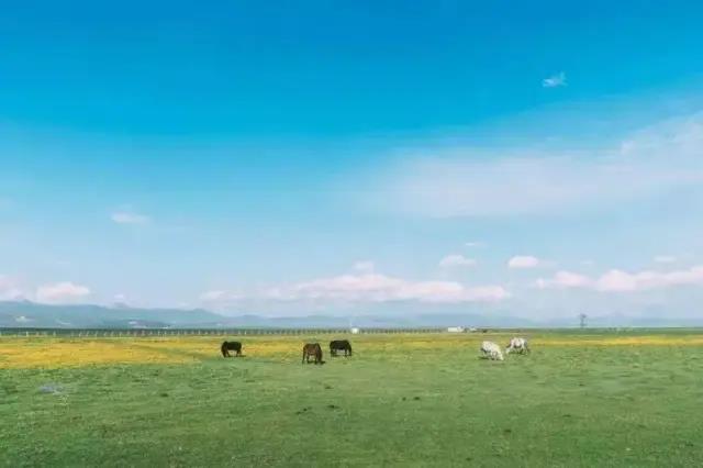 2020年10月3号雅康高速路况,雅康高速10月1号的路况