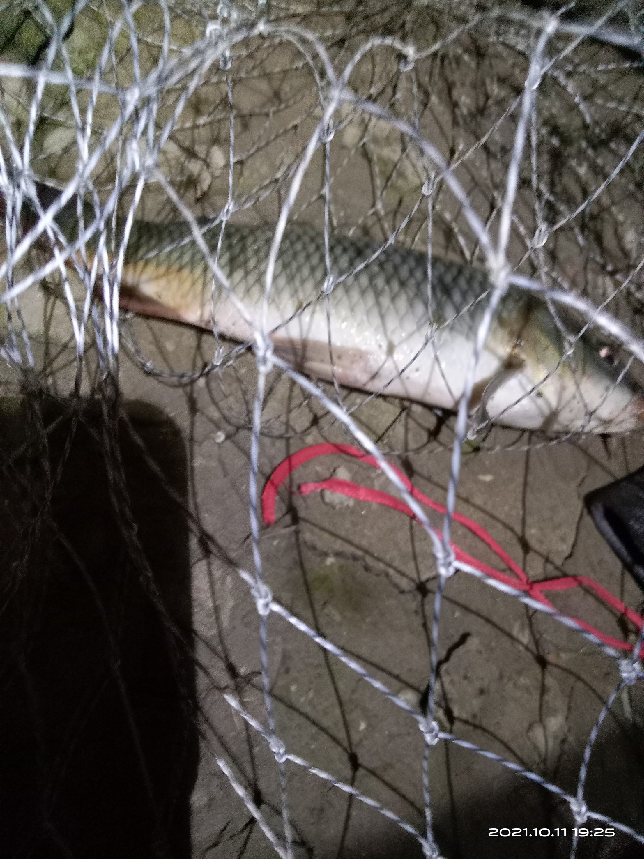 夜钓走水太厉害漂立不起来,夜钓鱼起浮到水面了怎么钓