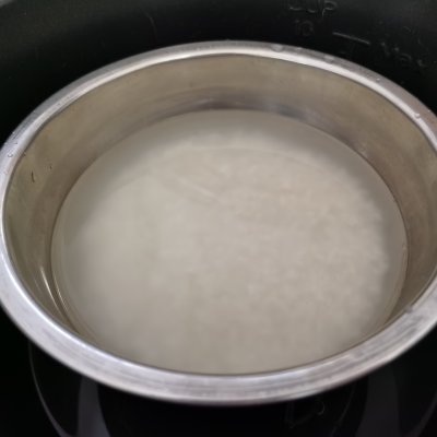 猫饭食堂小说全集,深夜食堂的猫饭