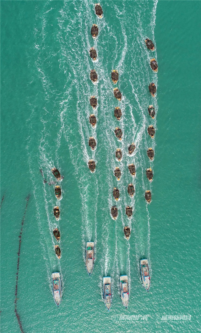 威海的海究竟有多美,威海的海到底有多美