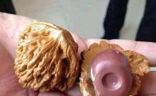 塑料做的文玩是真的吗,文玩白塑料如何辨别真假